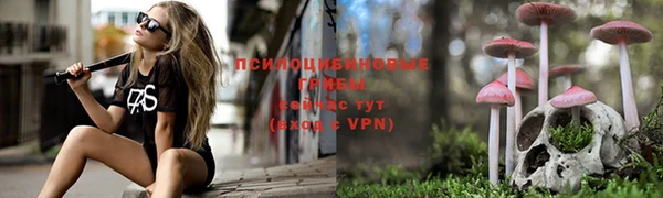 эйфоретик Верхний Тагил