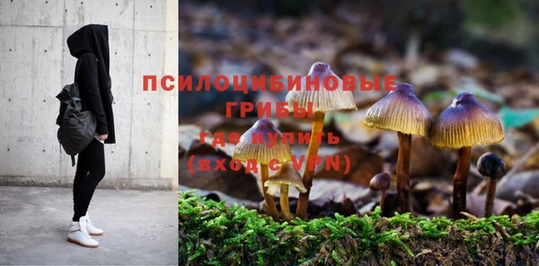 эйфоретик Верхний Тагил