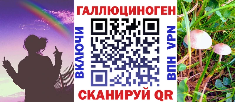 Купить  Черноголовка  Псилоцибиновые грибы прущие грибы 