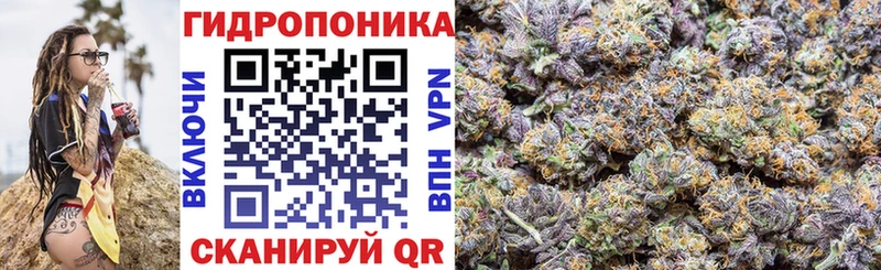 Бошки марихуана SATIVA & INDICA  Купить  Черноголовка 